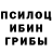 Псилоцибиновые грибы Magic Shrooms Gorton 218