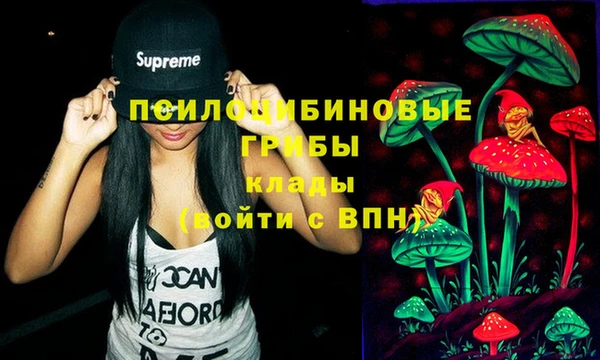 MDMA Протвино